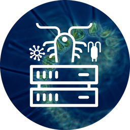 <b> Zoo and Phytoplankton EOV Products </b> Virtual Lab